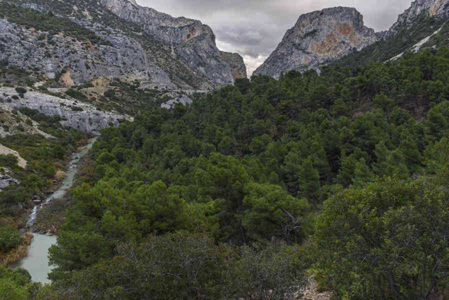 Málaga - desfiladero de los Gaitanes - Caminito del Rey 23.jpg